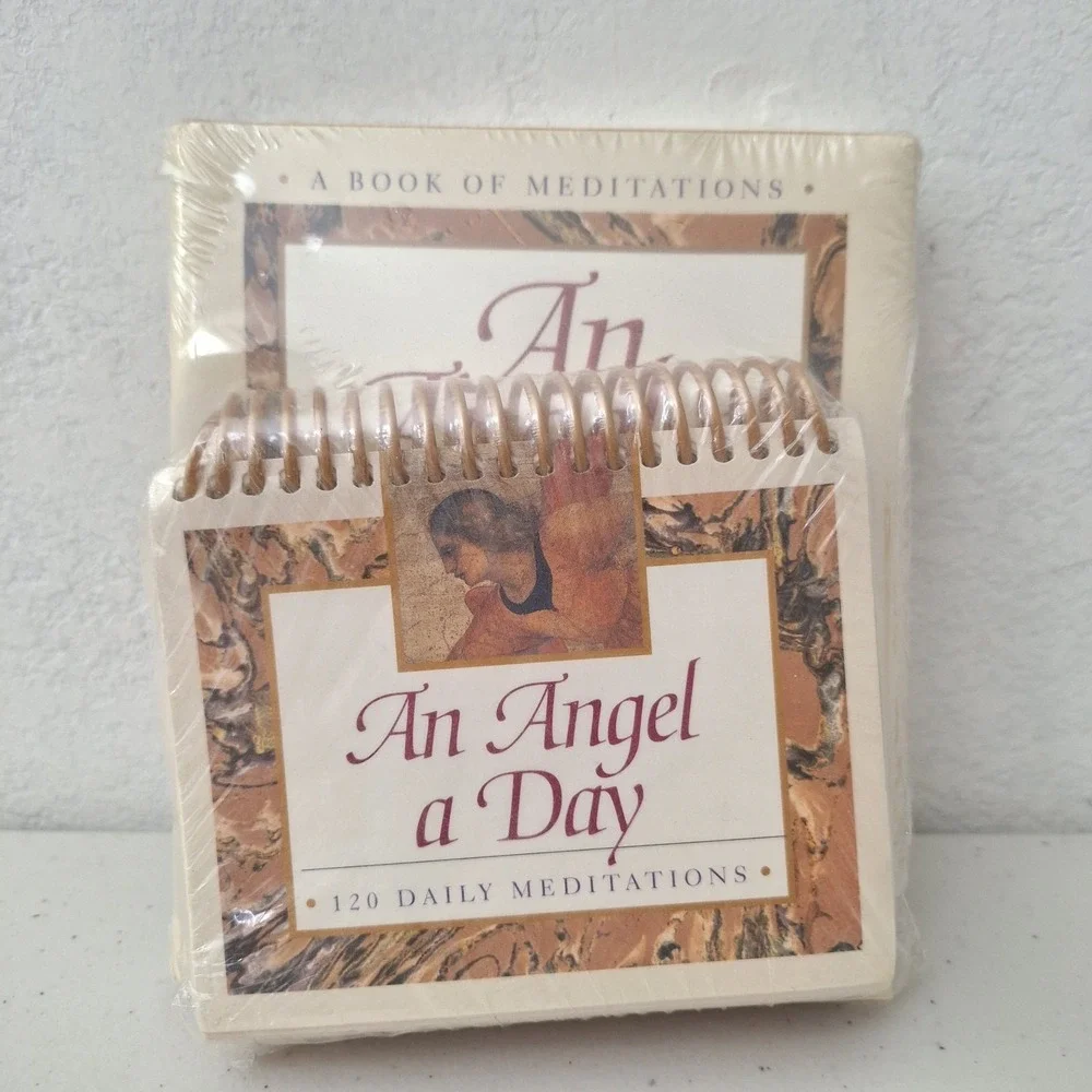 An Angel a Day: A Book of Mediations & 120 Daily Spiral Bound Add-On Guide NEW